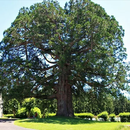 La Bruyere